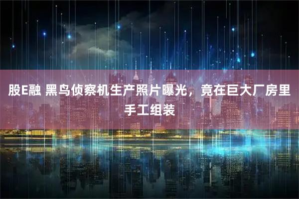 股E融 黑鸟侦察机生产照片曝光，竟在巨大厂房里手工组装