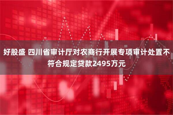 好股盛 四川省审计厅对农商行开展专项审计处置不符合规定贷款2495万元