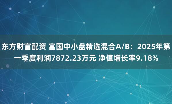 东方财富配资 富国中小盘精选混合A/B：2025年第一季度利润7872.23万元 净值增长率9.18%