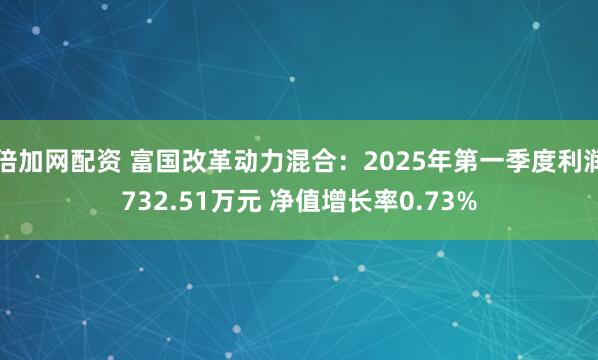 倍加网配资 富国改革动力混合：2025年第一季度利润732.51万元 净值增长率0.73%
