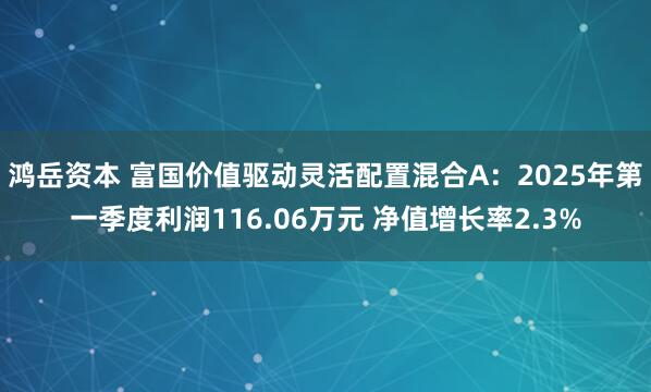 鸿岳资本 富国价值驱动灵活配置混合A：2025年第一季度利润116.06万元 净值增长率2.3%