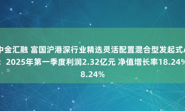 中金汇融 富国沪港深行业精选灵活配置混合型发起式A：2025年第一季度利润2.32亿元 净值增长率18.24%