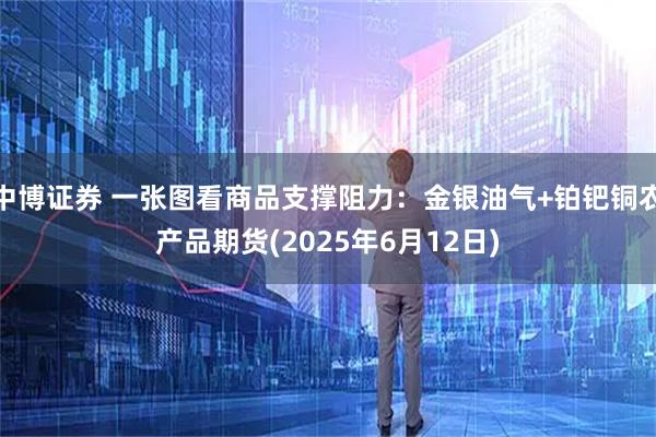 中博证券 一张图看商品支撑阻力：金银油气+铂钯铜农产品期货(2025年6月12日)